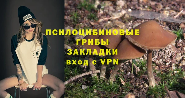 круглые Няндома
