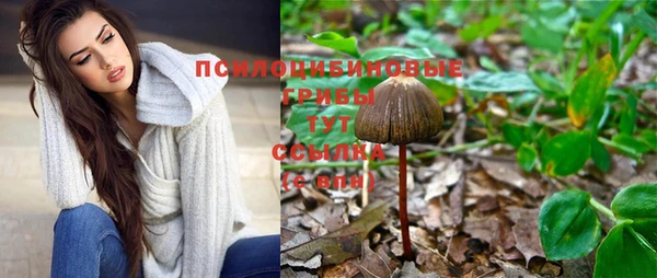 круглые Няндома