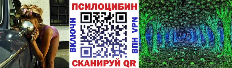 Купить  Кириллов  Псилоцибиновые грибы прущие грибы 